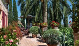 Venta Viñedo Palma de Mallorca