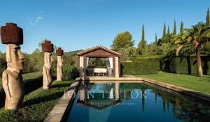 Venta Viñedo Palma de Mallorca