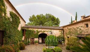 Venta Viñedo Palma de Mallorca