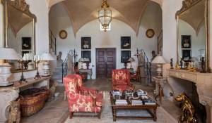 Venta Viñedo Palma de Mallorca