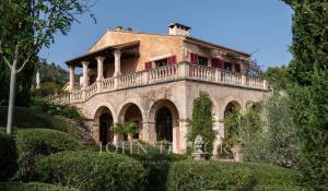 Venta Viñedo Palma de Mallorca