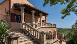 Venta Viñedo Palma de Mallorca