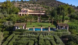 Venta Viñedo Palma de Mallorca