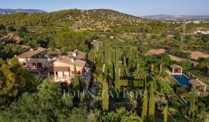 Venta Viñedo Palma de Mallorca