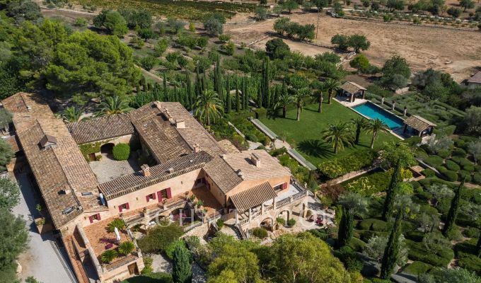 Venta Viñedo Palma de Mallorca